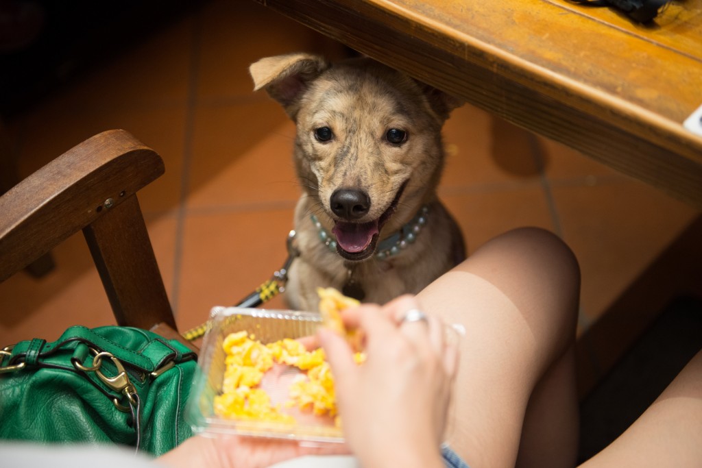 10997844886 2b00e1463c H 1024x683